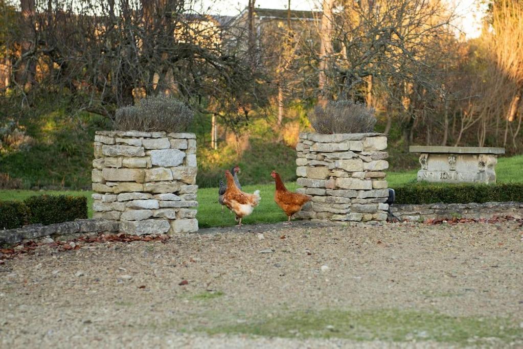 Dove House Cottages - No 1 Oxford Exterior foto